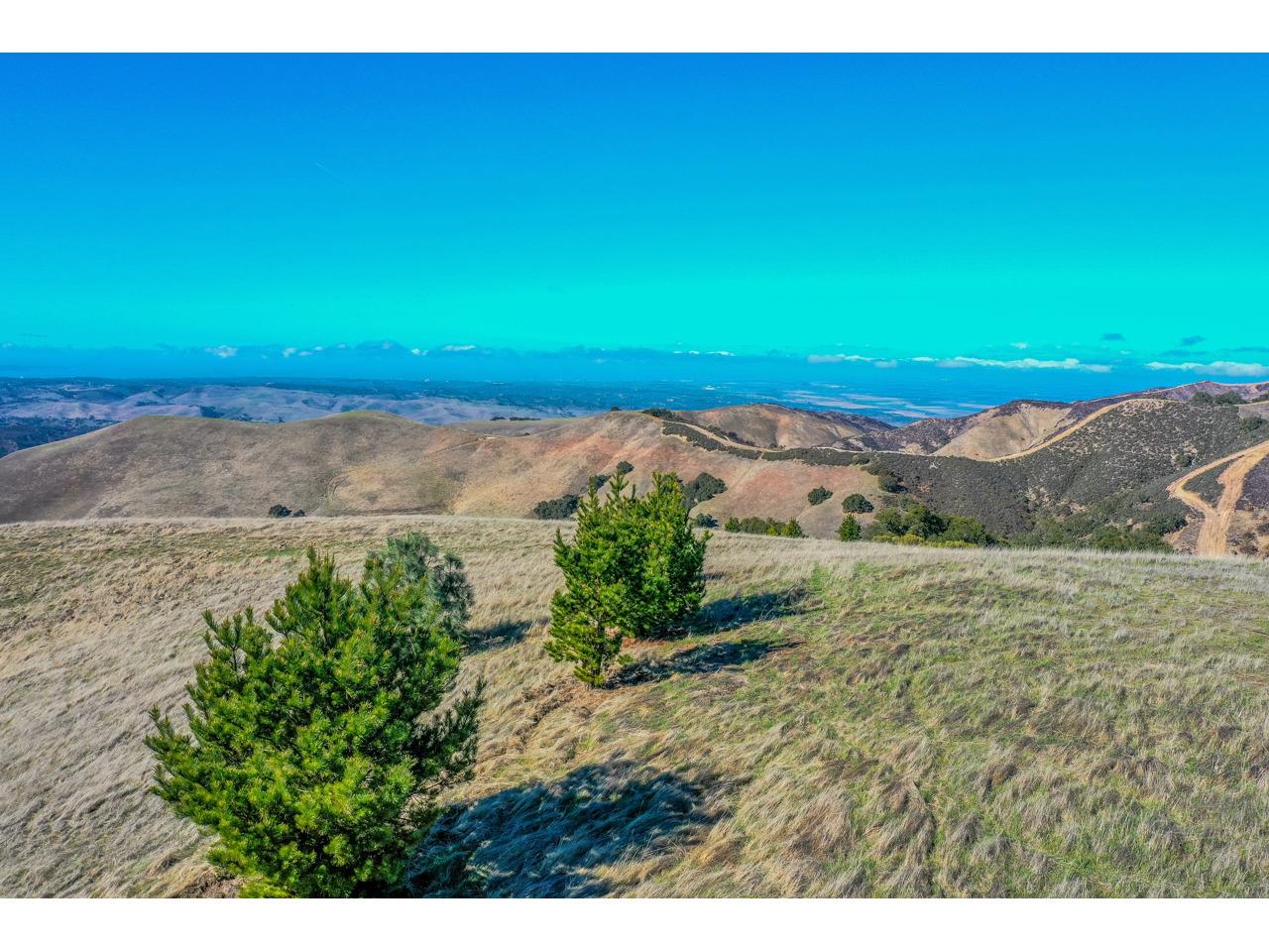 389 San Benancio Road, SALINAS, California 93908, ,Lots And Land,For Sale,San Benancio Road,40963235