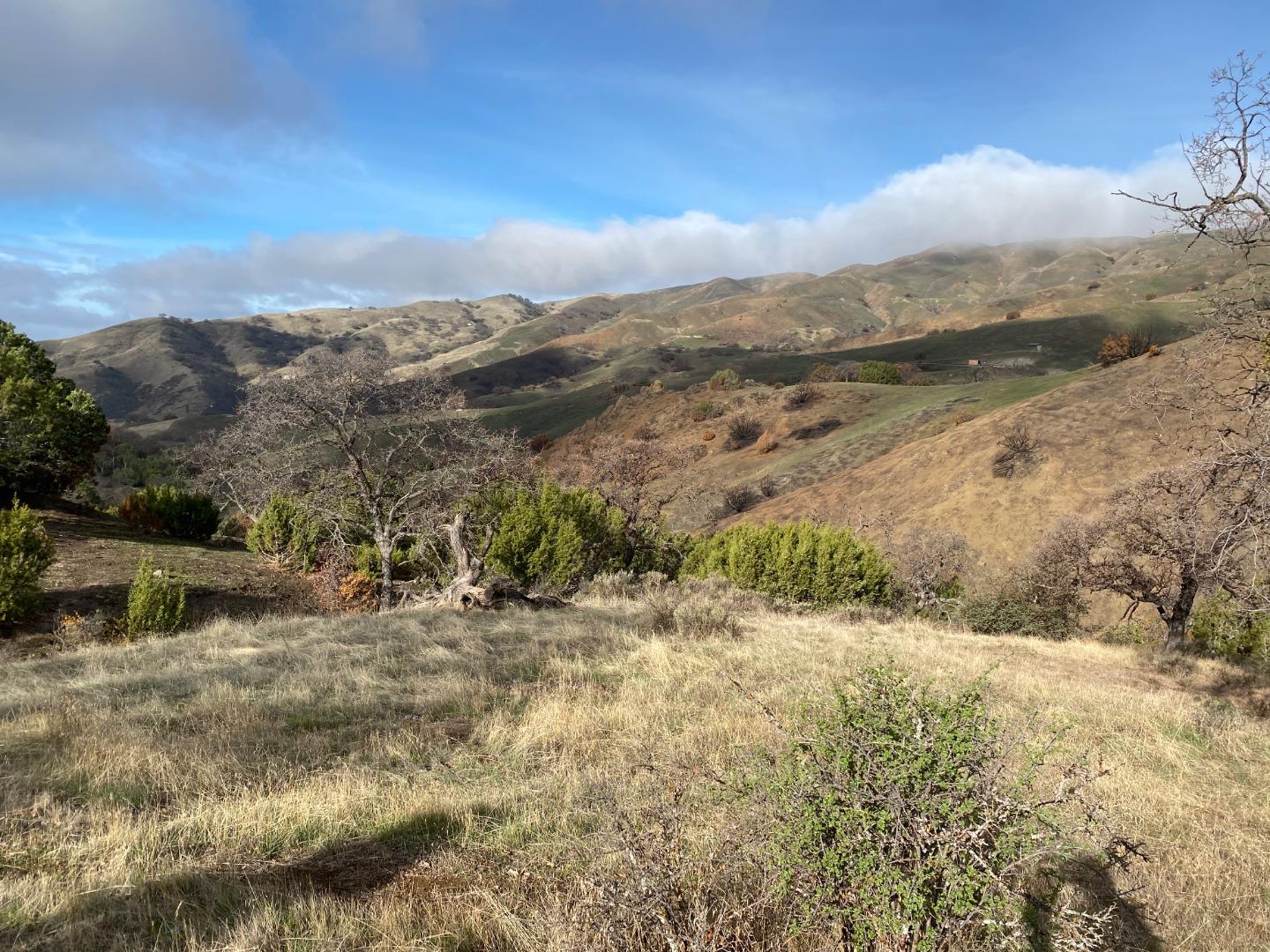 Lot 47 Panoche Road, PAICINES, California 95043, ,Lots And Land,For Sale,Panoche Road,40963272
