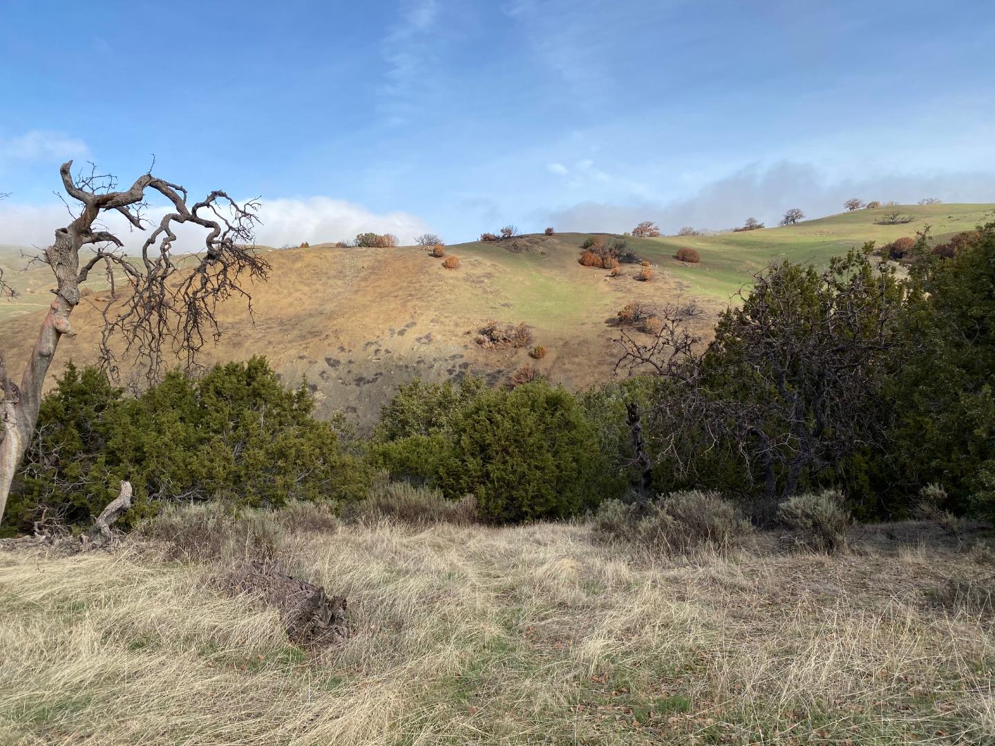 Lot 47 Panoche Road, PAICINES, California 95043, ,Lots And Land,For Sale,Panoche Road,40963272