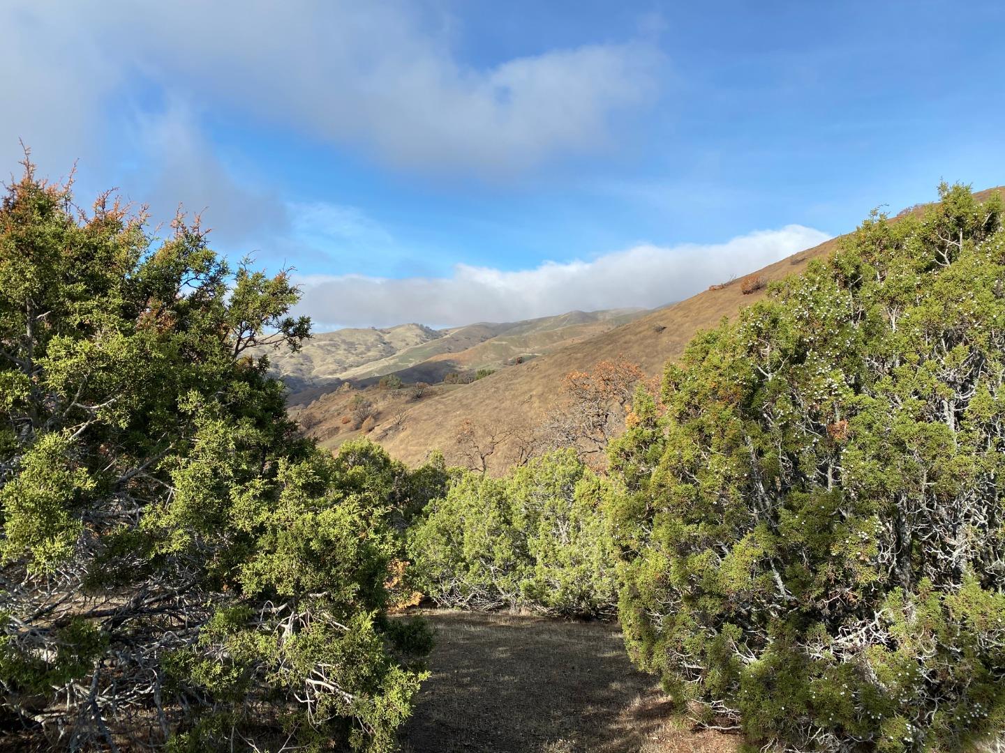 Lot 47 Panoche Road, PAICINES, California 95043, ,Lots And Land,For Sale,Panoche Road,40963272