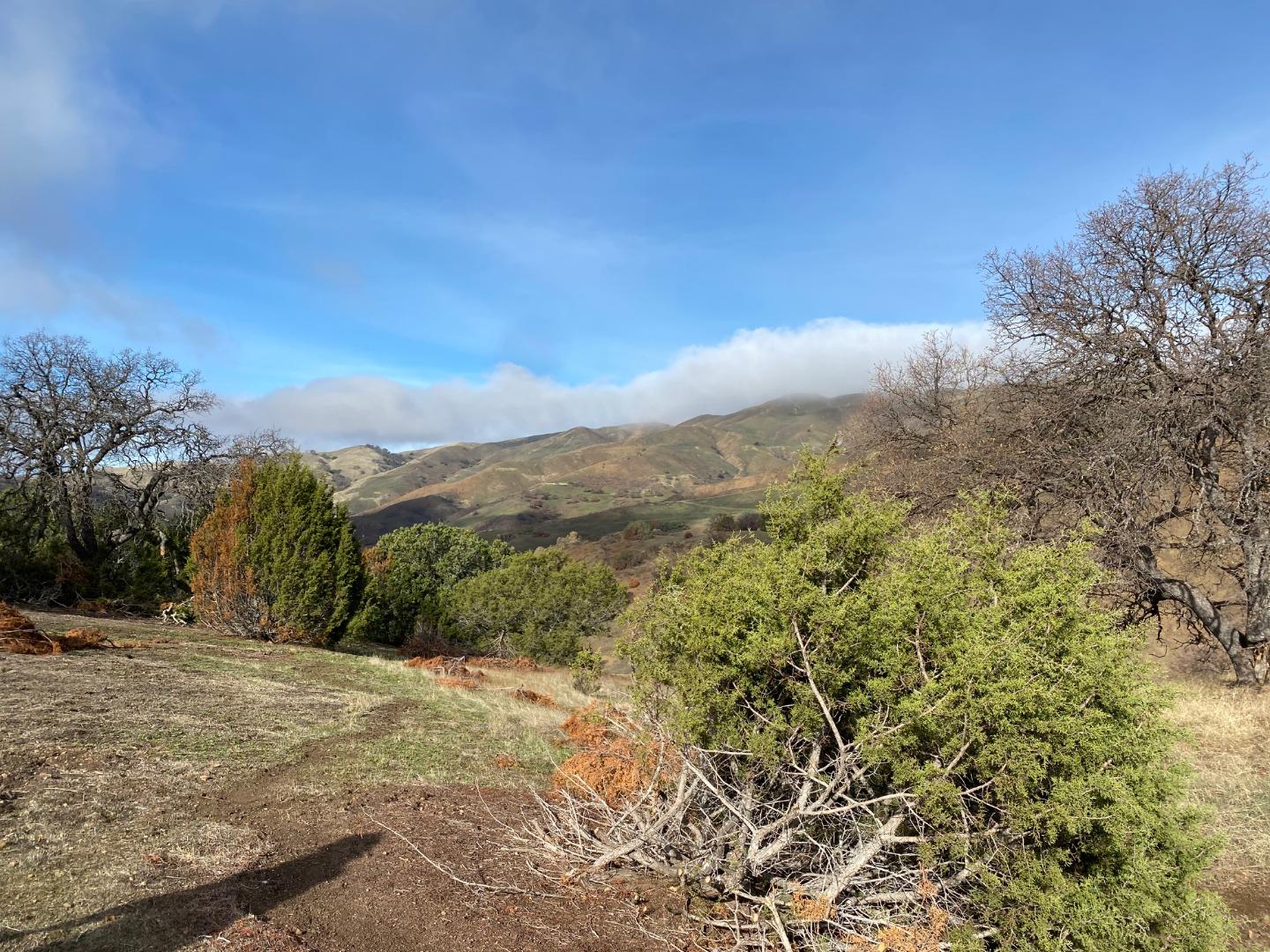 Lot 47 Panoche Road, PAICINES, California 95043, ,Lots And Land,For Sale,Panoche Road,40963272