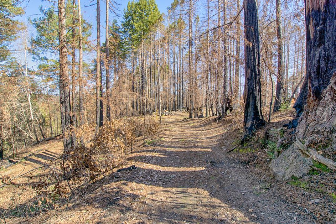 665 Heartwood Hill, BOULDER CREEK, California 95006, ,Lots And Land,For Sale,Heartwood Hill,40963273