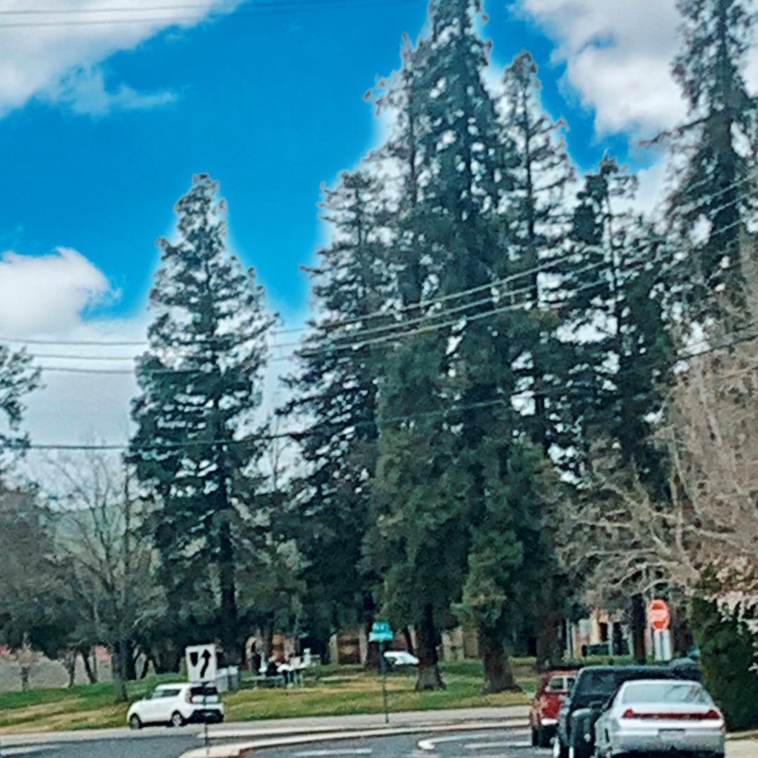 732 K Street, LIVERMORE, California 94550, ,Lots And Land,For Sale,K Street,40963277