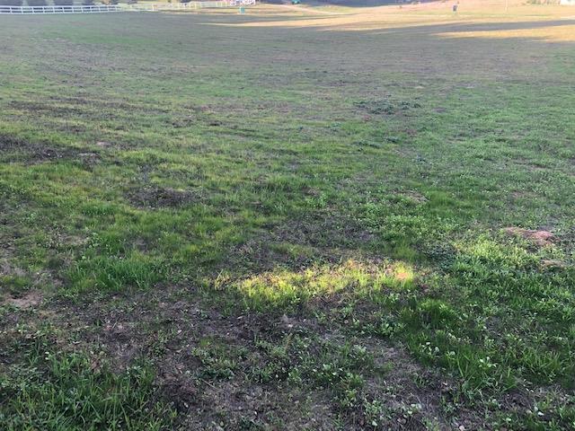 8867 Holly Hill Drive, SALINAS, California 93907, ,Lots And Land,For Sale,Holly Hill Drive,40963278