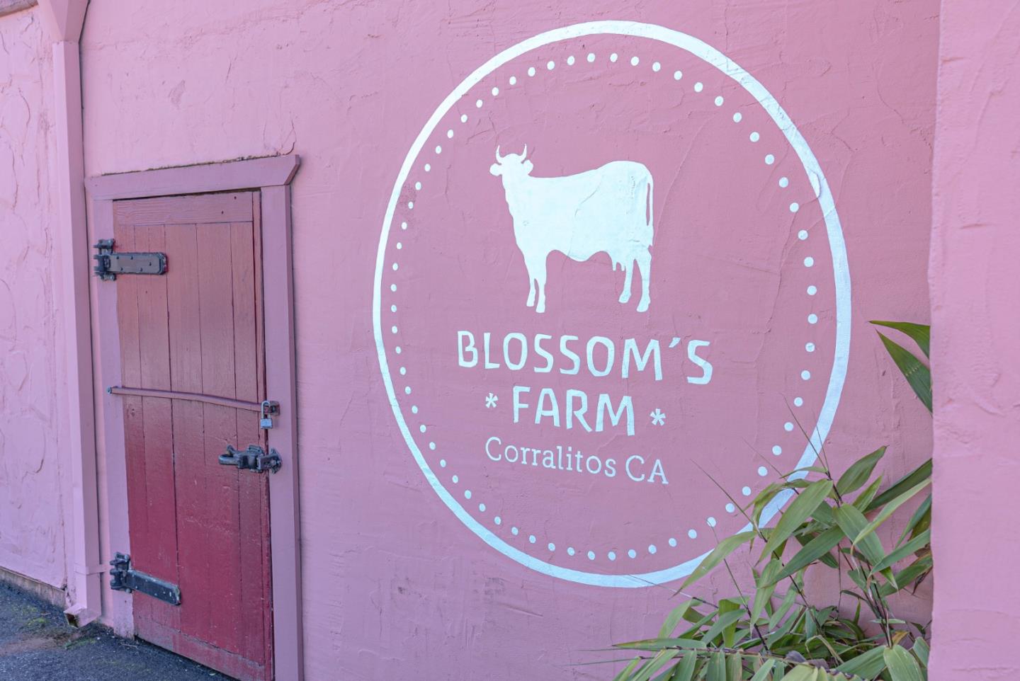 2904 Freedom Boulevard, WATSONVILLE, California 95076, ,Comm Industrial For Sale,For Sale,Freedom Boulevard,40963298