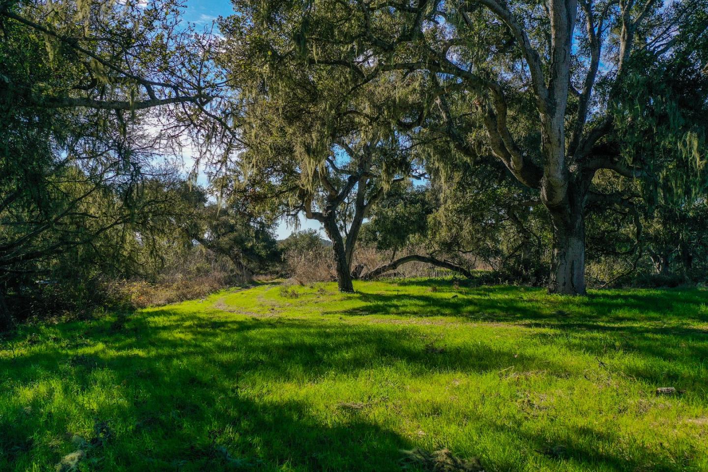 161-240 Via Pontos Way, LA SELVA BEACH, California 95076, ,Lots And Land,For Sale,Via Pontos Way,40963295