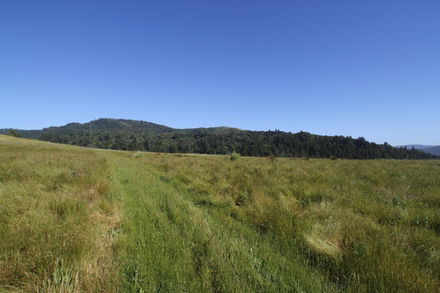 0 La Honda, WOODSIDE, California 94062, ,Lots And Land,For Sale,La Honda,40963340