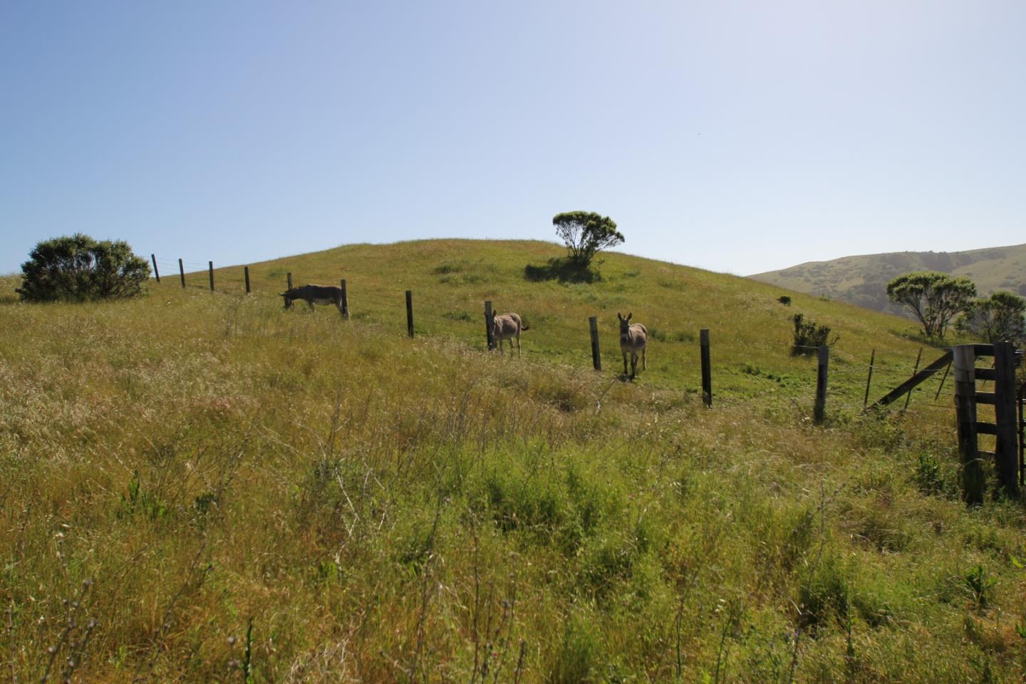 0 La Honda, WOODSIDE, California 94062, ,Lots And Land,For Sale,La Honda,40963340