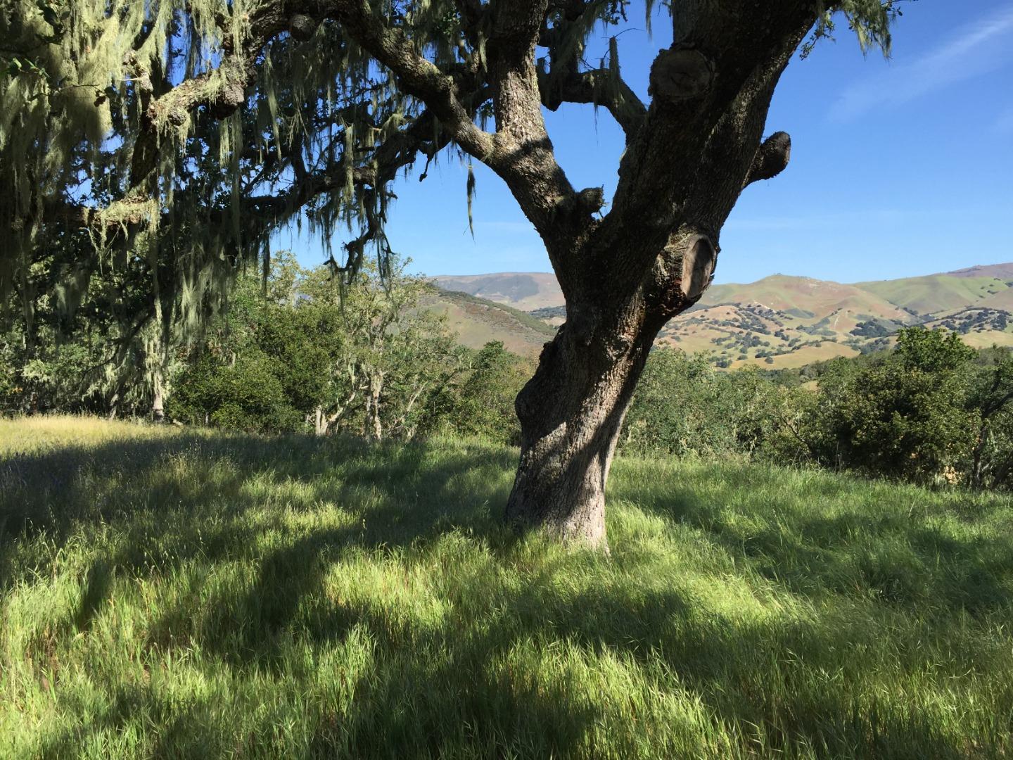 33734 Old Country Road, CARMEL VALLEY, California 93924, ,Lots And Land,For Sale,Old Country Road,40963346