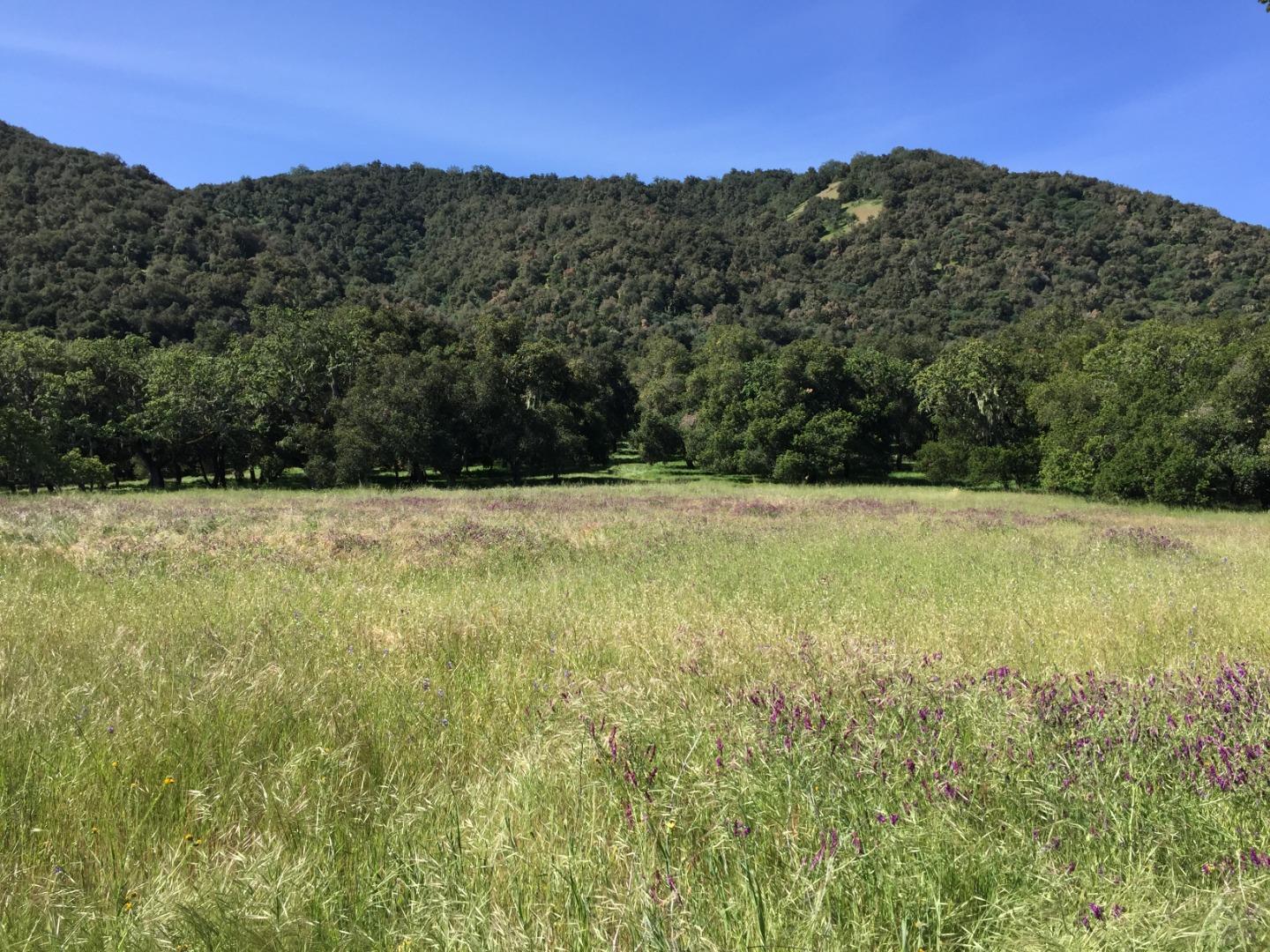 33734 Old Country Road, CARMEL VALLEY, California 93924, ,Lots And Land,For Sale,Old Country Road,40963346