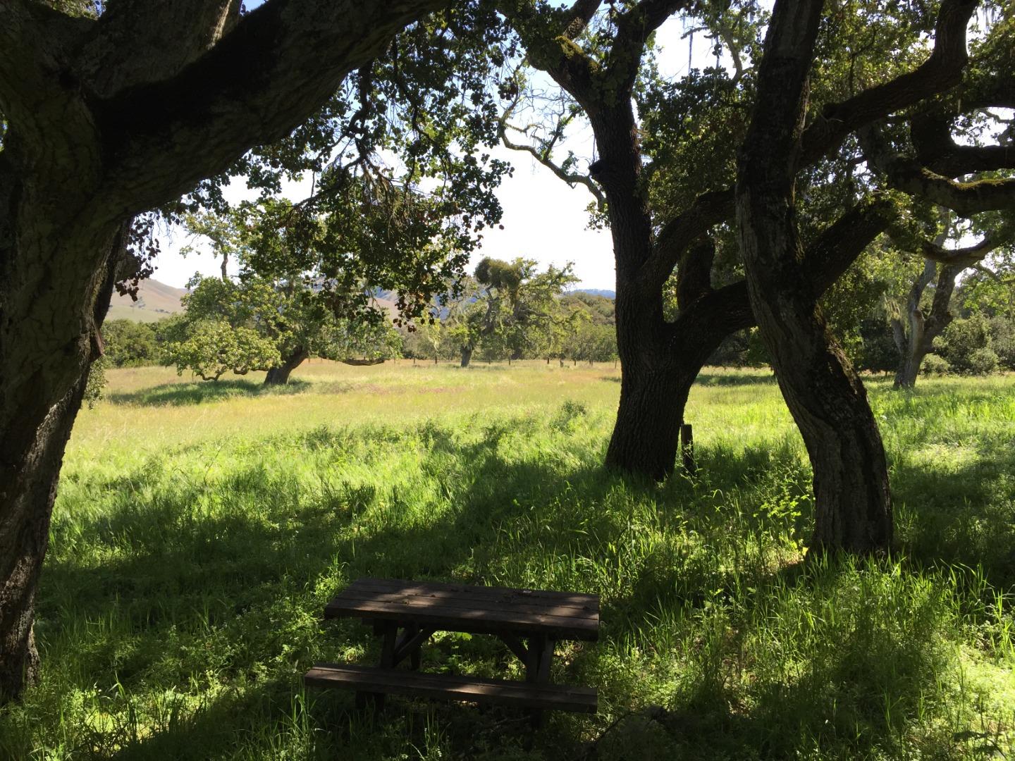 33734 Old Country Road, CARMEL VALLEY, California 93924, ,Lots And Land,For Sale,Old Country Road,40963346