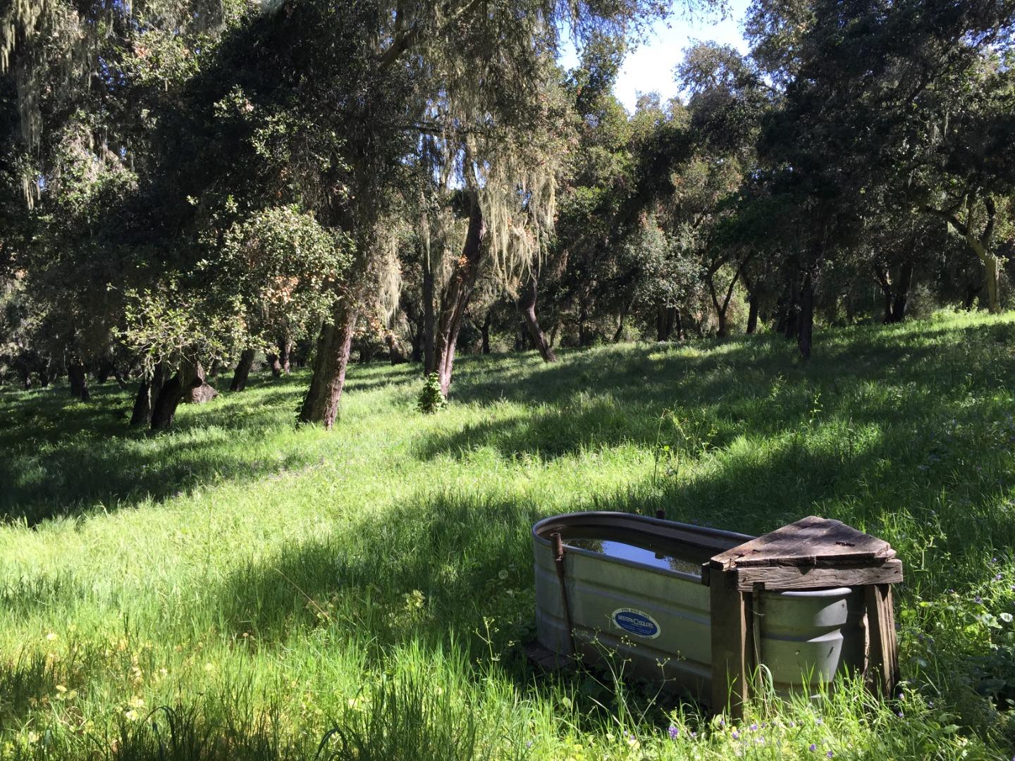 33734 Old Country Road, CARMEL VALLEY, California 93924, ,Lots And Land,For Sale,Old Country Road,40963346