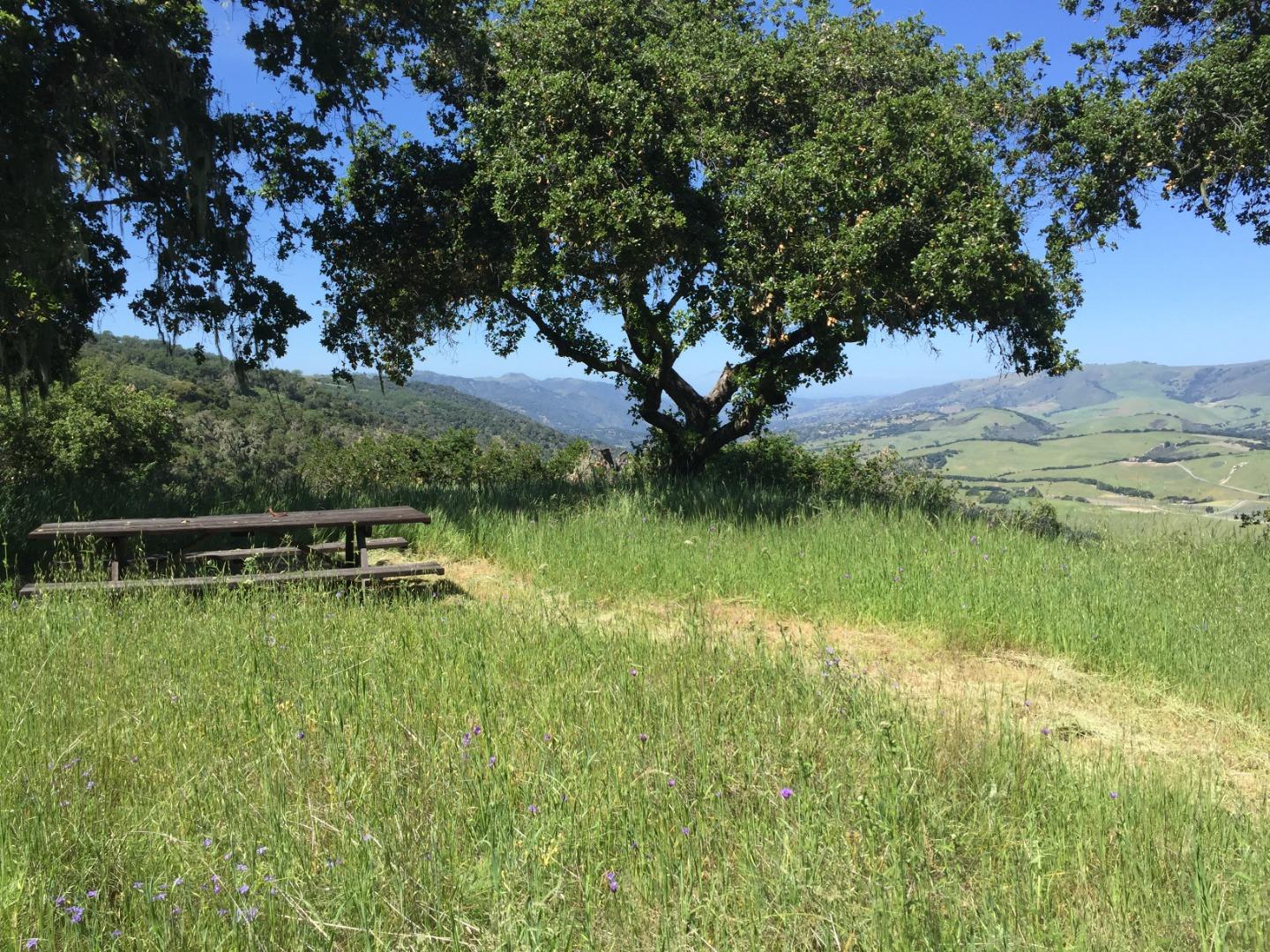33734 Old Country Road, CARMEL VALLEY, California 93924, ,Lots And Land,For Sale,Old Country Road,40963346
