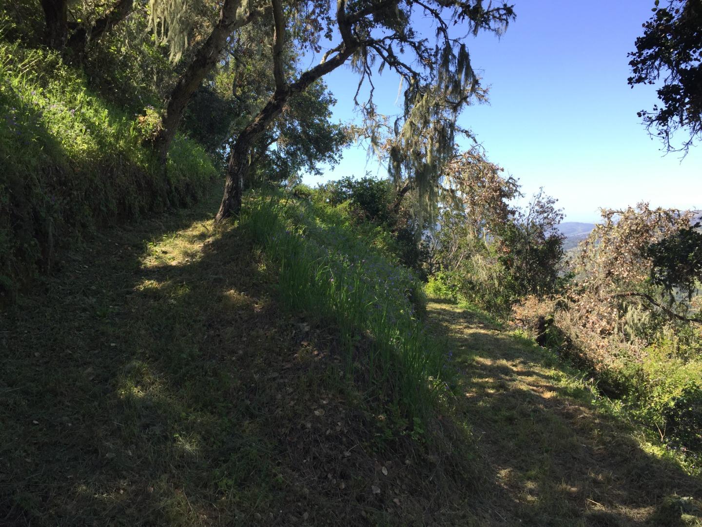 33734 Old Country Road, CARMEL VALLEY, California 93924, ,Lots And Land,For Sale,Old Country Road,40963346