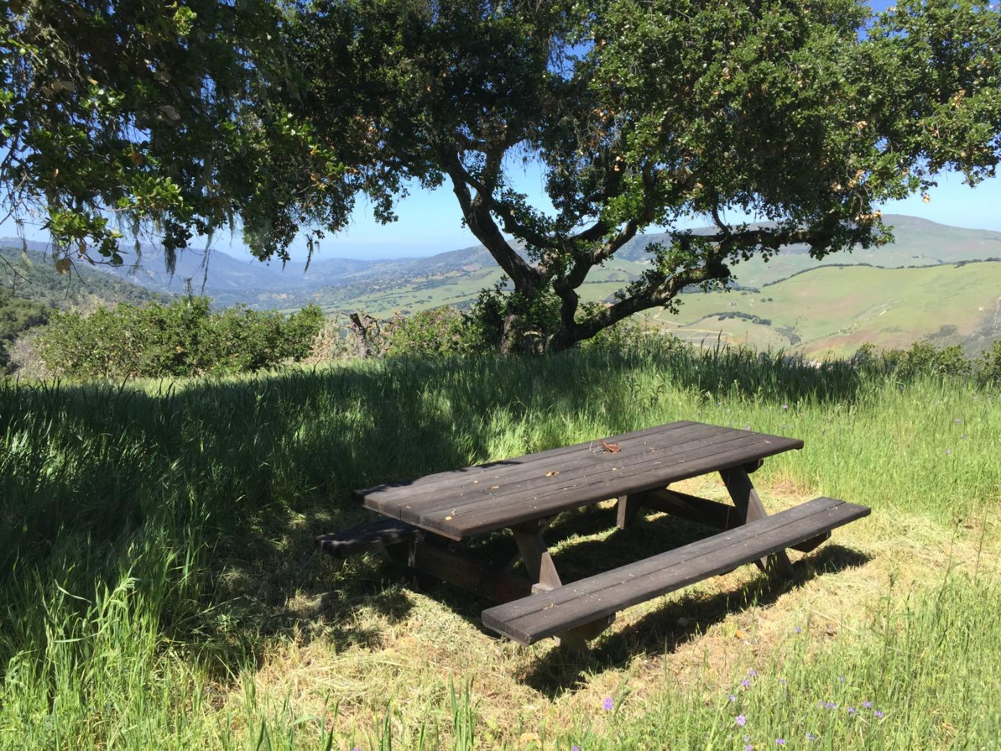 33734 Old Country Road, CARMEL VALLEY, California 93924, ,Lots And Land,For Sale,Old Country Road,40963346