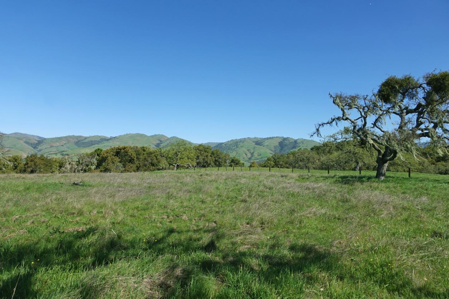 33734 Old Country Road, CARMEL VALLEY, California 93924, ,Lots And Land,For Sale,Old Country Road,40963346