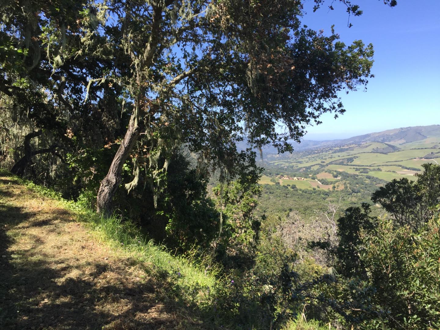 33734 Old Country Road, CARMEL VALLEY, California 93924, ,Lots And Land,For Sale,Old Country Road,40963346