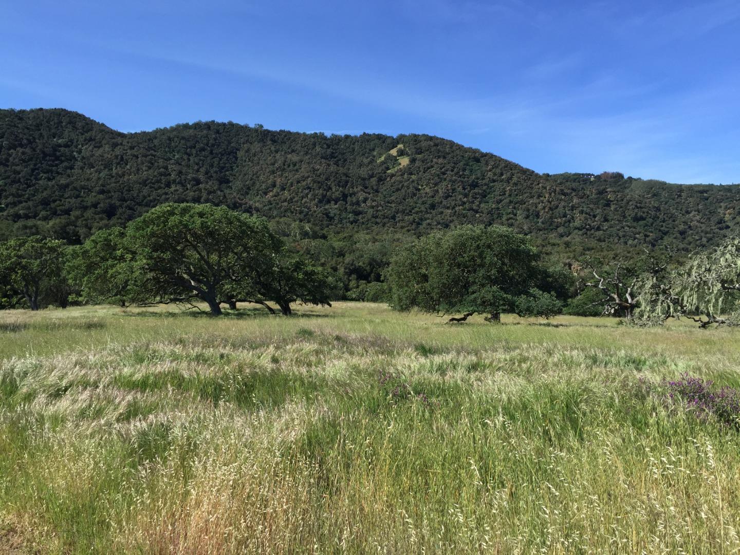 33734 Old Country Road, CARMEL VALLEY, California 93924, ,Lots And Land,For Sale,Old Country Road,40963346