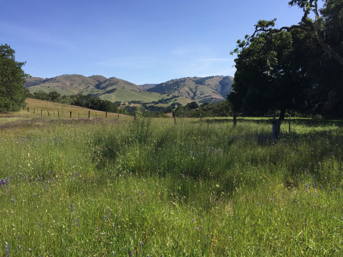 33734 Old Country Road, CARMEL VALLEY, California 93924, ,Lots And Land,For Sale,Old Country Road,40963346