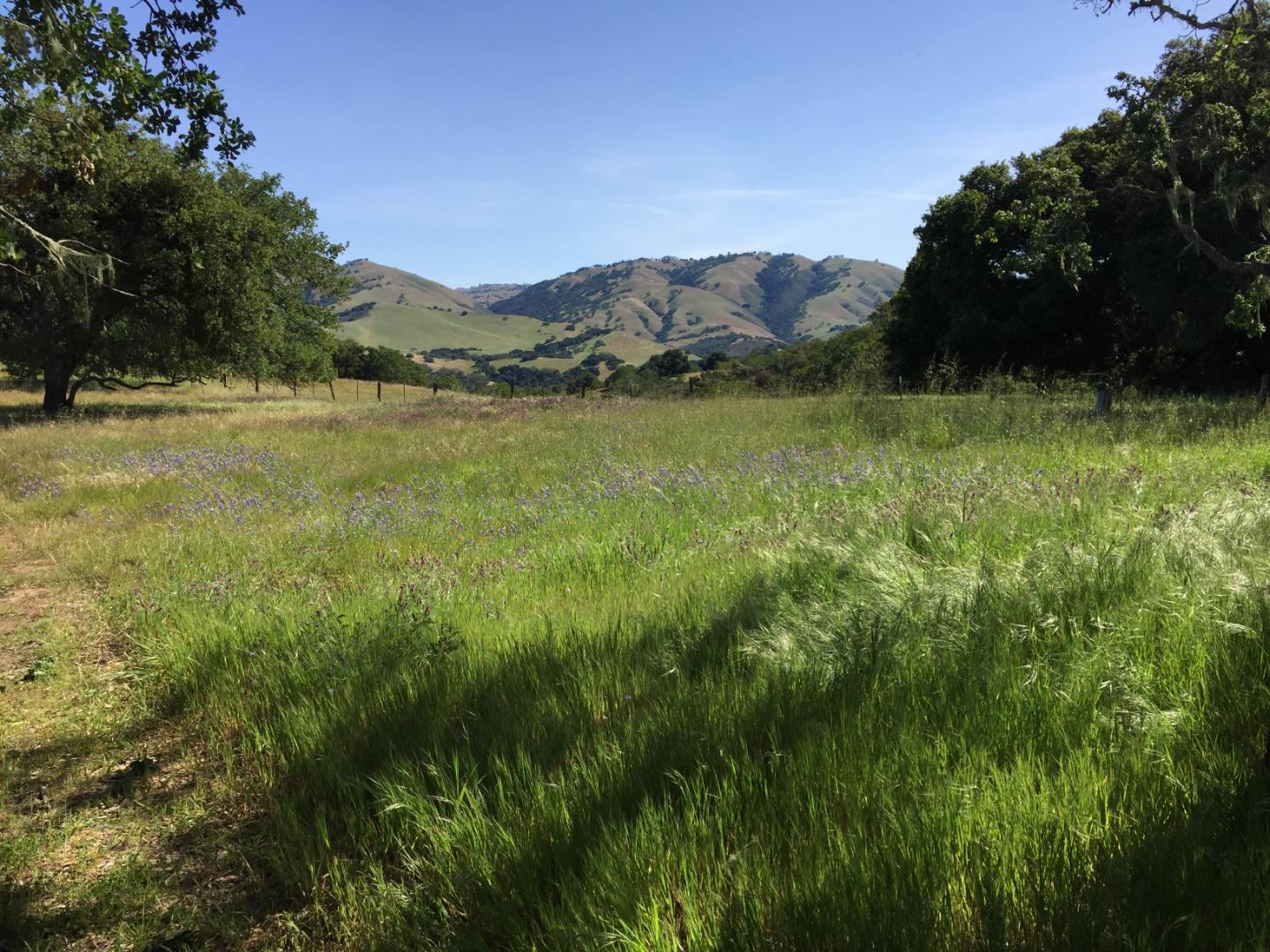33734 Old Country Road, CARMEL VALLEY, California 93924, ,Lots And Land,For Sale,Old Country Road,40963346
