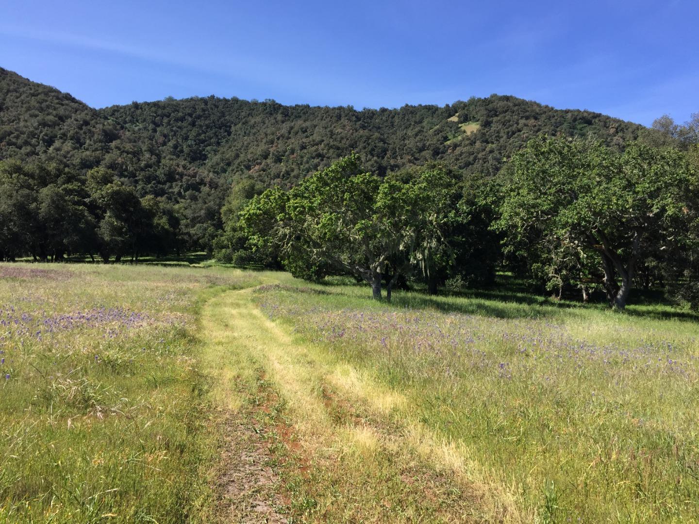 33734 Old Country Road, CARMEL VALLEY, California 93924, ,Lots And Land,For Sale,Old Country Road,40963346