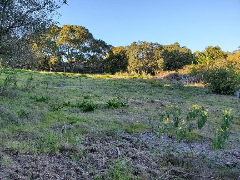 00 San Miguel Canyon Road, ROYAL OAKS, California 95076, ,Lots And Land,For Sale,San Miguel Canyon Road,40963357