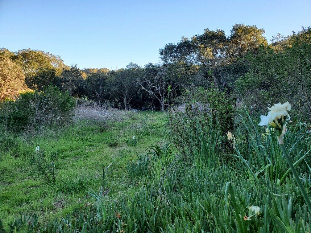 00 San Miguel Canyon Road, ROYAL OAKS, California 95076, ,Lots And Land,For Sale,San Miguel Canyon Road,40963357