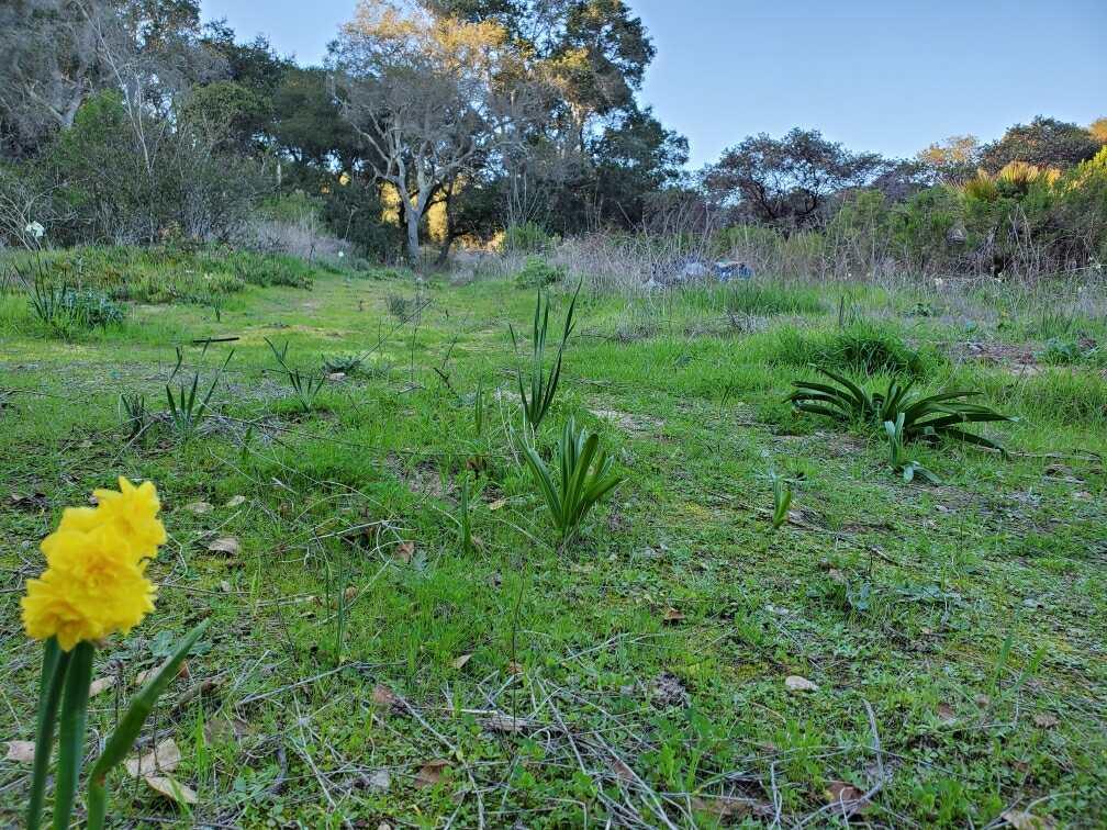 00 San Miguel Canyon Road, ROYAL OAKS, California 95076, ,Lots And Land,For Sale,San Miguel Canyon Road,40963357