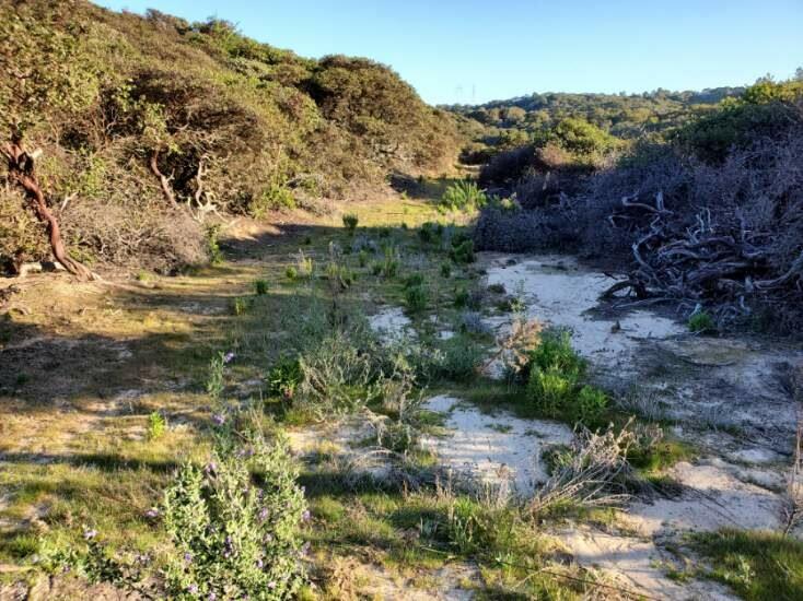 00 San Miguel Canyon Road, ROYAL OAKS, California 95076, ,Lots And Land,For Sale,San Miguel Canyon Road,40963357