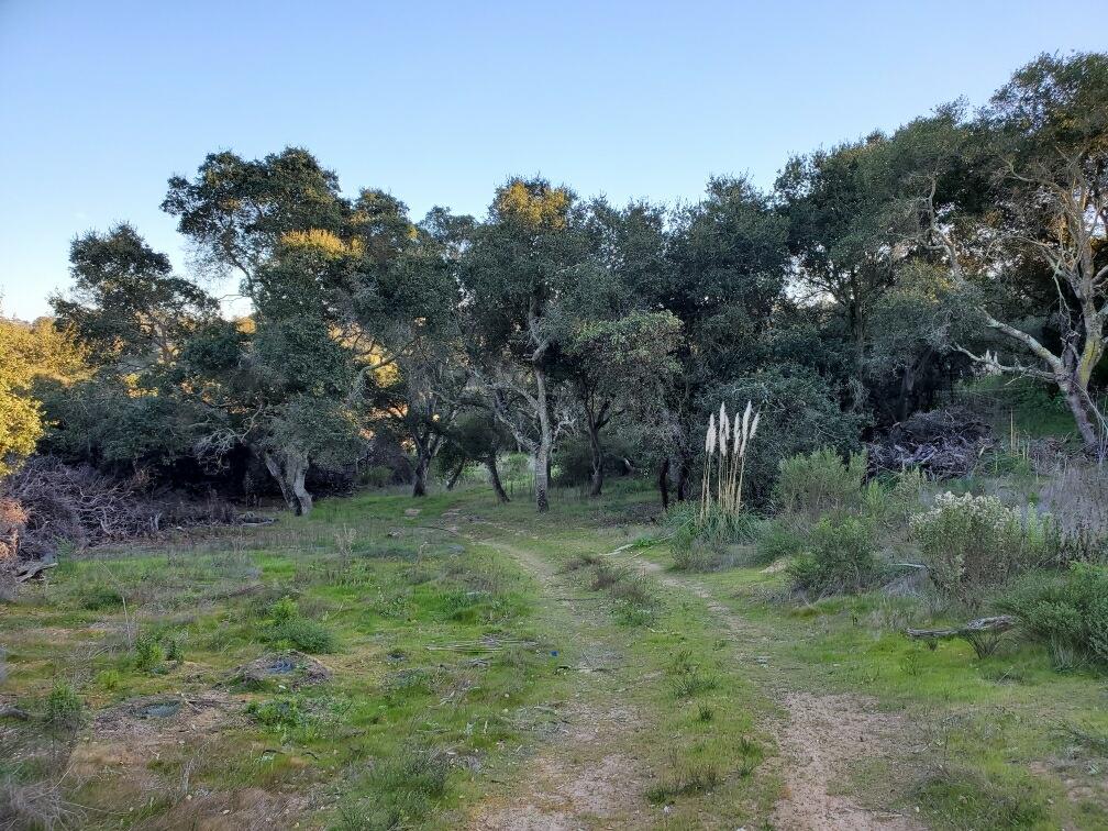 00 San Miguel Canyon Road, ROYAL OAKS, California 95076, ,Lots And Land,For Sale,San Miguel Canyon Road,40963357