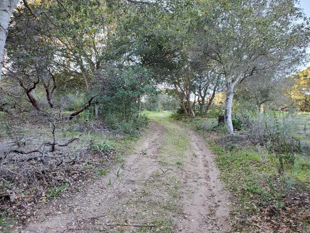 00 San Miguel Canyon Road, ROYAL OAKS, California 95076, ,Lots And Land,For Sale,San Miguel Canyon Road,40963357