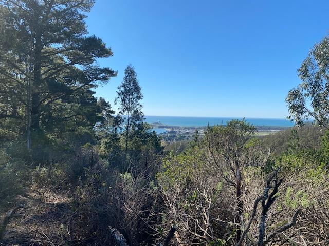 0 Lewis Avenue, EL GRANADA, California 94018, ,Lots And Land,For Sale,Lewis Avenue,40963369