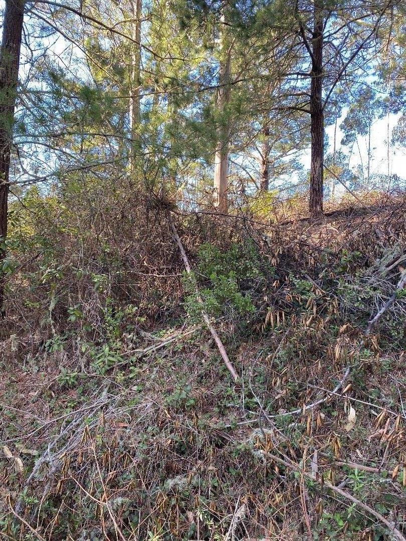 0 Lewis Avenue, EL GRANADA, California 94018, ,Lots And Land,For Sale,Lewis Avenue,40963369