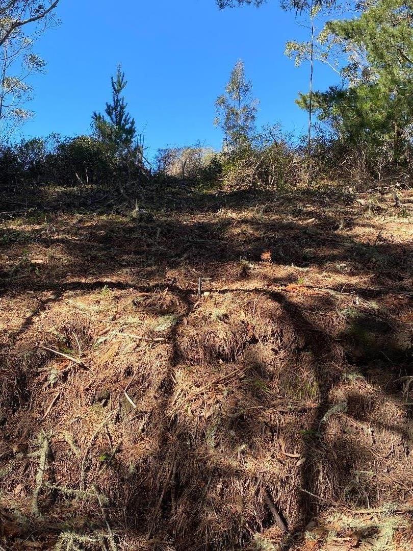 0 Lewis Avenue, EL GRANADA, California 94018, ,Lots And Land,For Sale,Lewis Avenue,40963369