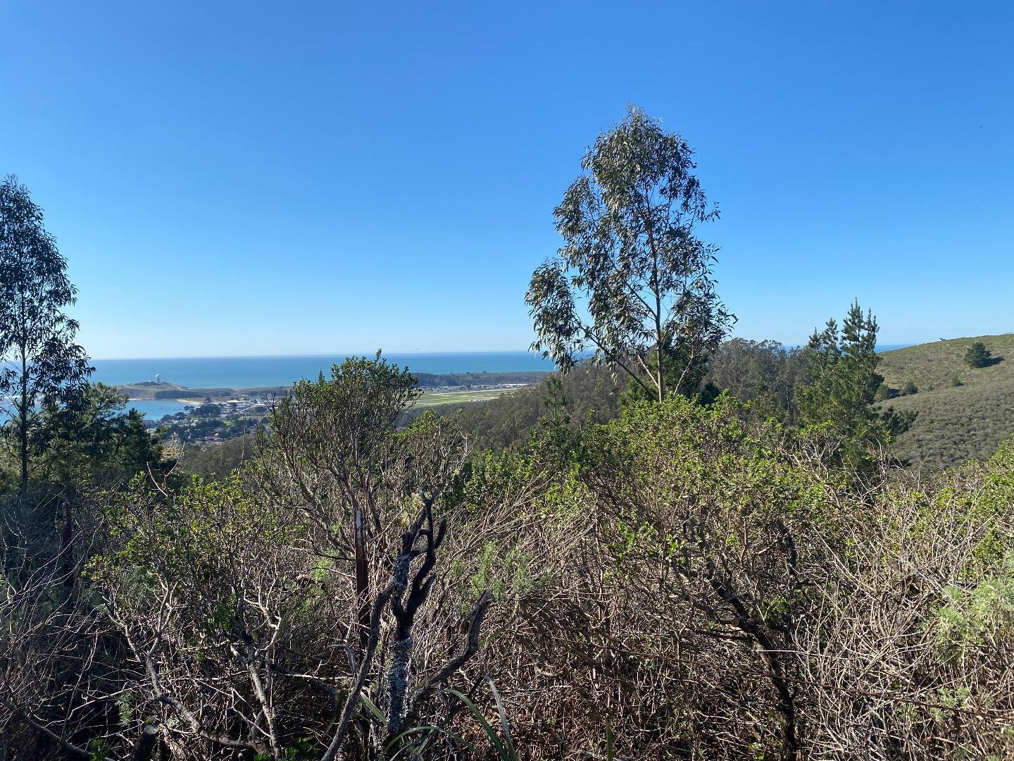 0 Lewis Avenue, EL GRANADA, California 94018, ,Lots And Land,For Sale,Lewis Avenue,40963369