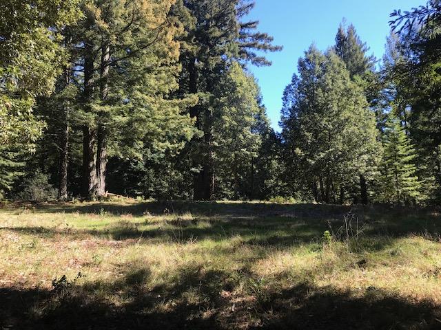 Detail Gallery Image 12 of 17 For 0 Summit Road Lot 2 La Cima Ln, Watsonville,  CA 95076 - – Beds | – Baths