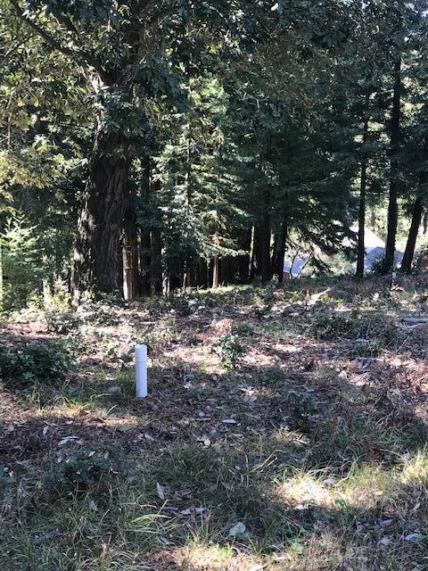 0 Summit Road Lot 2 La Cima Lane, WATSONVILLE, California 95076, ,Lots And Land,For Sale,Summit Road Lot 2 La Cima Lane,40963397