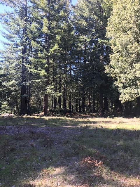 0 Summit Road Lot 2 La Cima Lane, WATSONVILLE, California 95076, ,Lots And Land,For Sale,Summit Road Lot 2 La Cima Lane,40963397