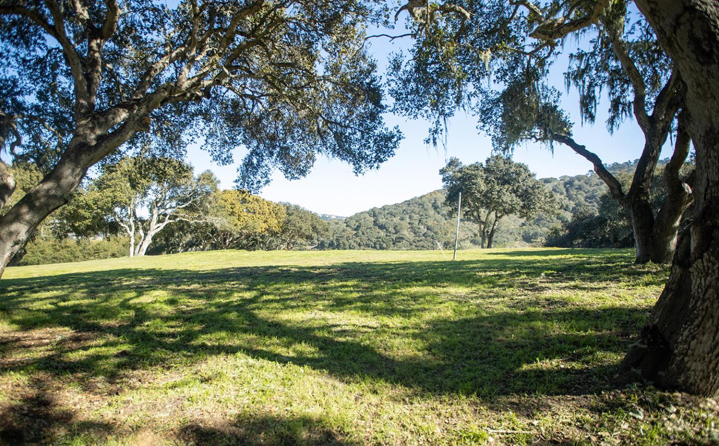 8380 Monterey Views, MONTEREY, California 93940, ,Lots And Land,For Sale,Monterey Views,40963414