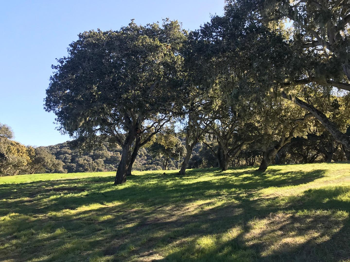 8380 Monterey Views, MONTEREY, California 93940, ,Lots And Land,For Sale,Monterey Views,40963414