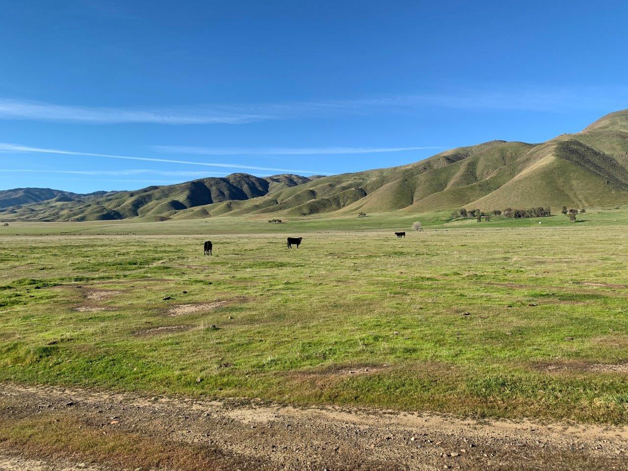 0 Little Panoche Road, LOS BANOS, California 93635, ,Lots And Land,For Sale,Little Panoche Road,40963415