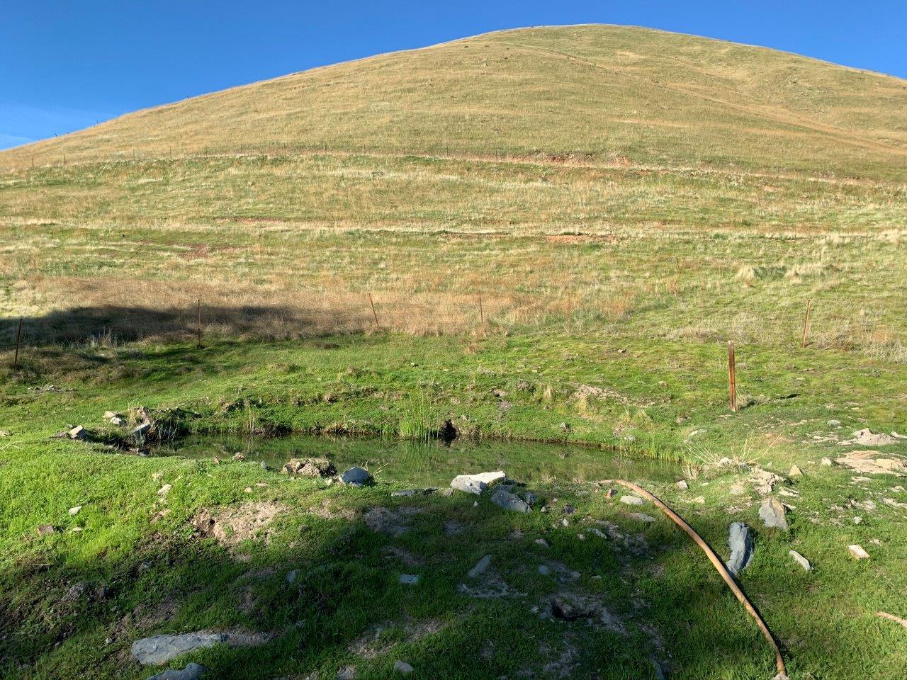 0 Little Panoche Road, LOS BANOS, California 93635, ,Lots And Land,For Sale,Little Panoche Road,40963415