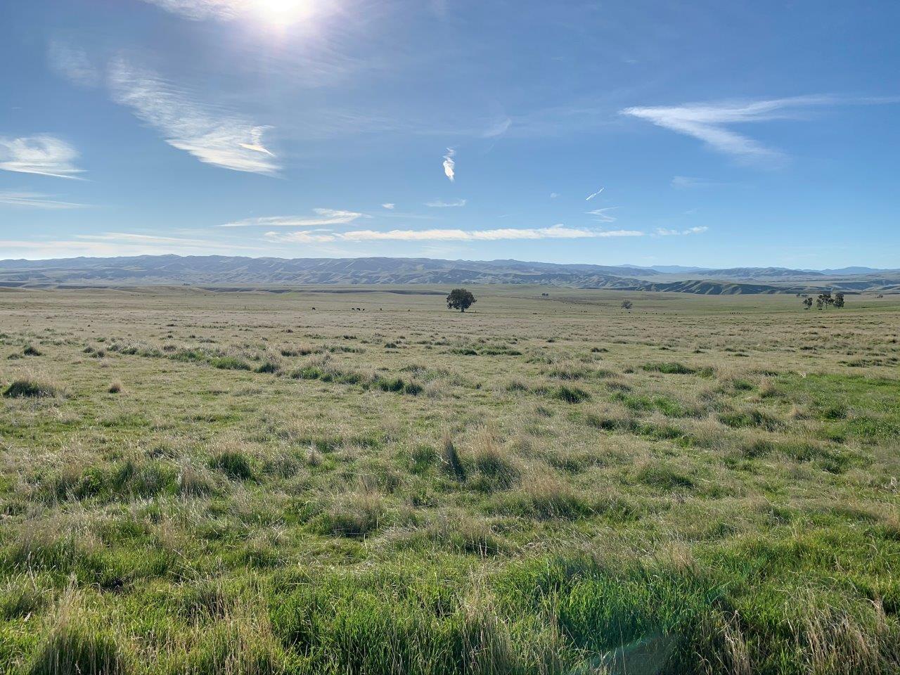 0 Little Panoche Road, LOS BANOS, California 93635, ,Lots And Land,For Sale,Little Panoche Road,40963415