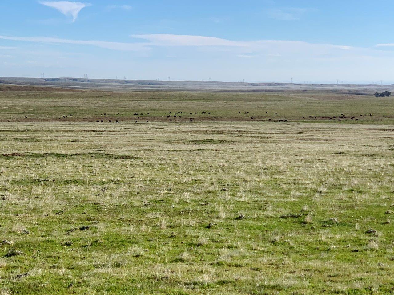 0 Little Panoche Road, LOS BANOS, California 93635, ,Lots And Land,For Sale,Little Panoche Road,40963415