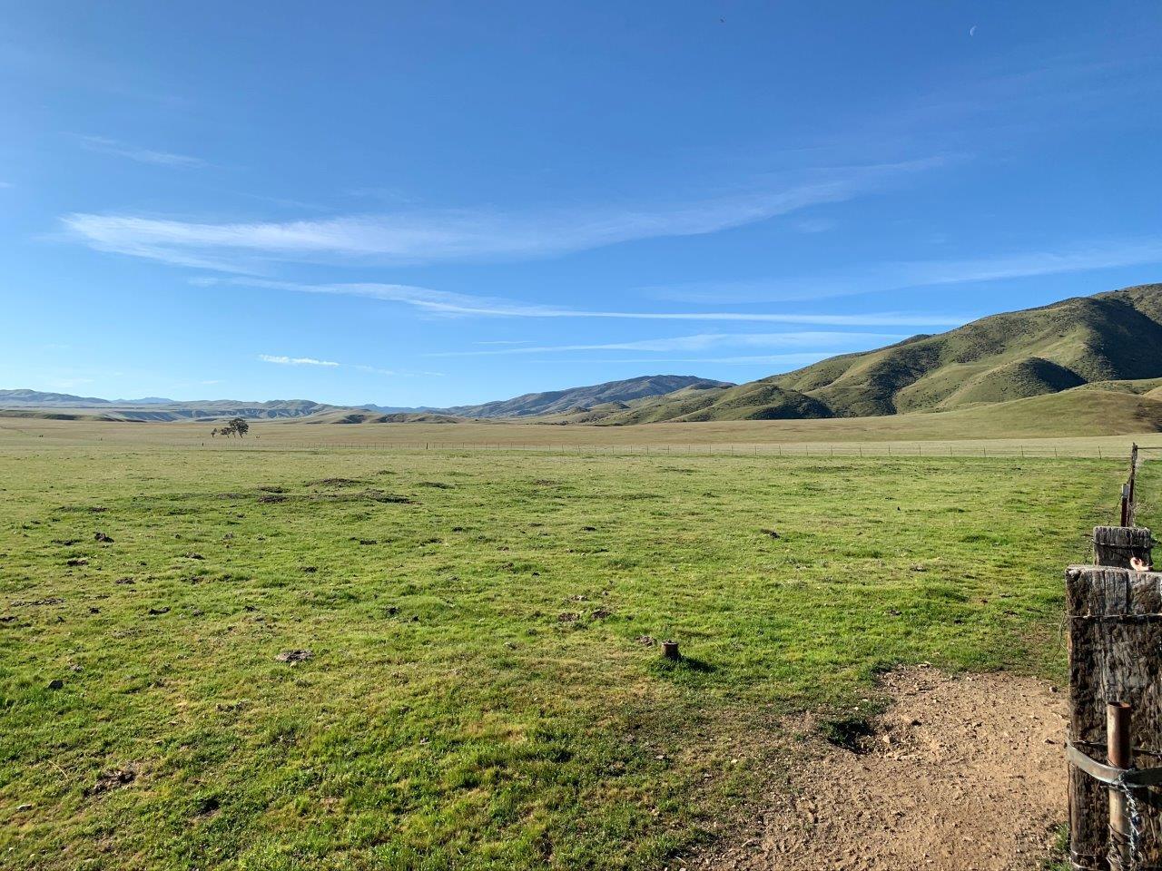 0 Little Panoche Road, LOS BANOS, California 93635, ,Lots And Land,For Sale,Little Panoche Road,40963415