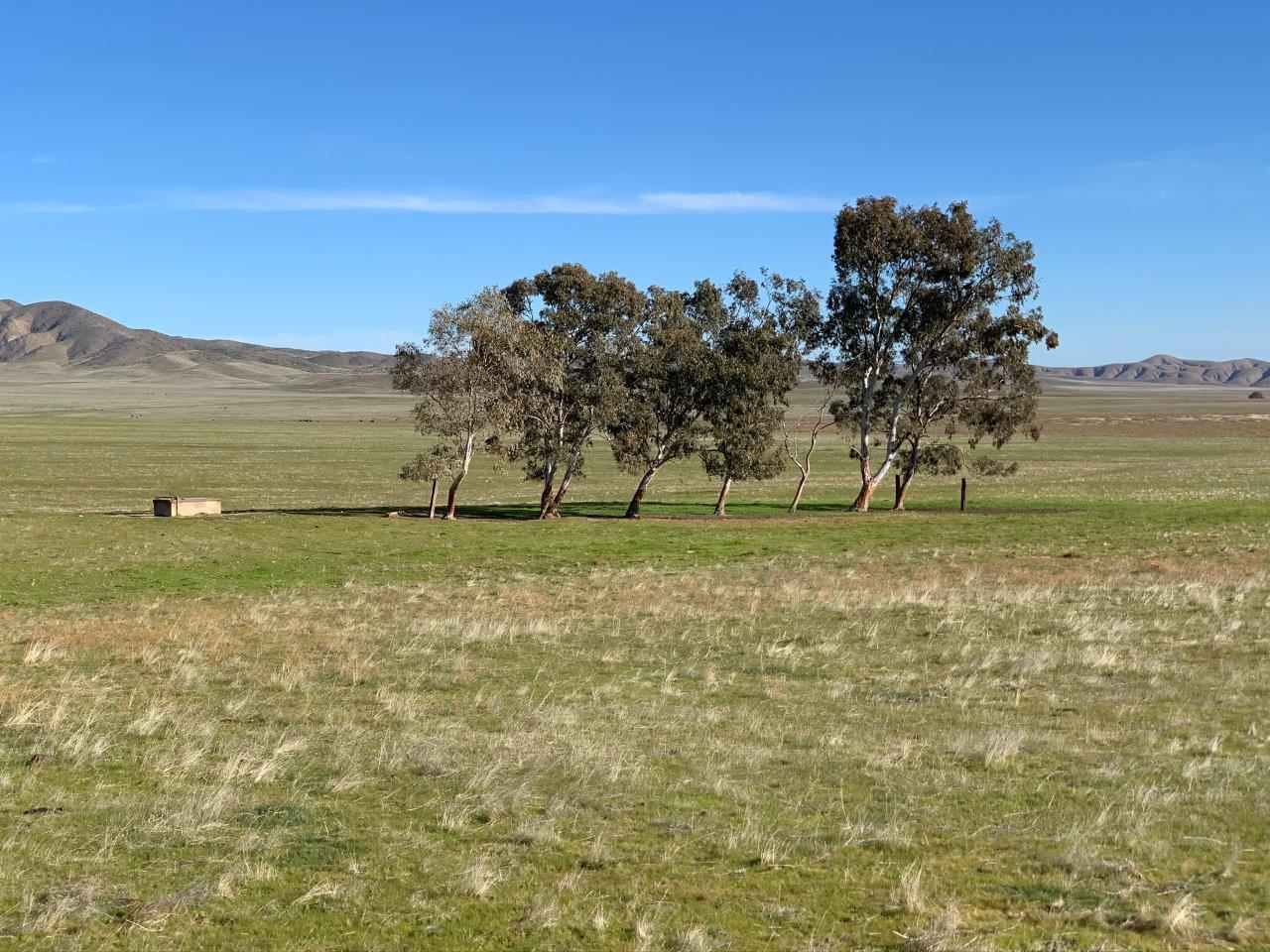 0 Little Panoche Road, LOS BANOS, California 93635, ,Lots And Land,For Sale,Little Panoche Road,40963415