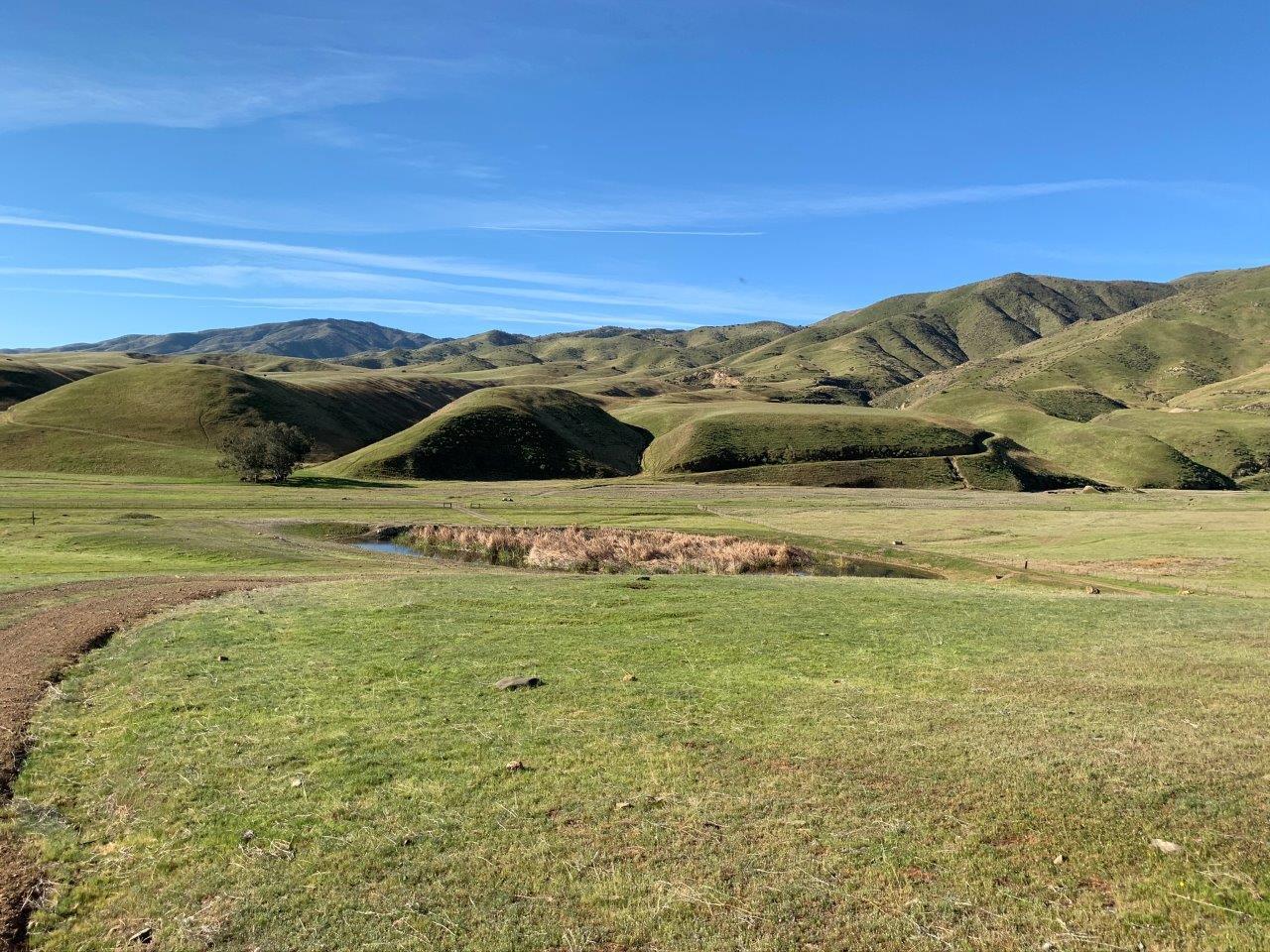 0 Little Panoche Road, LOS BANOS, California 93635, ,Lots And Land,For Sale,Little Panoche Road,40963415