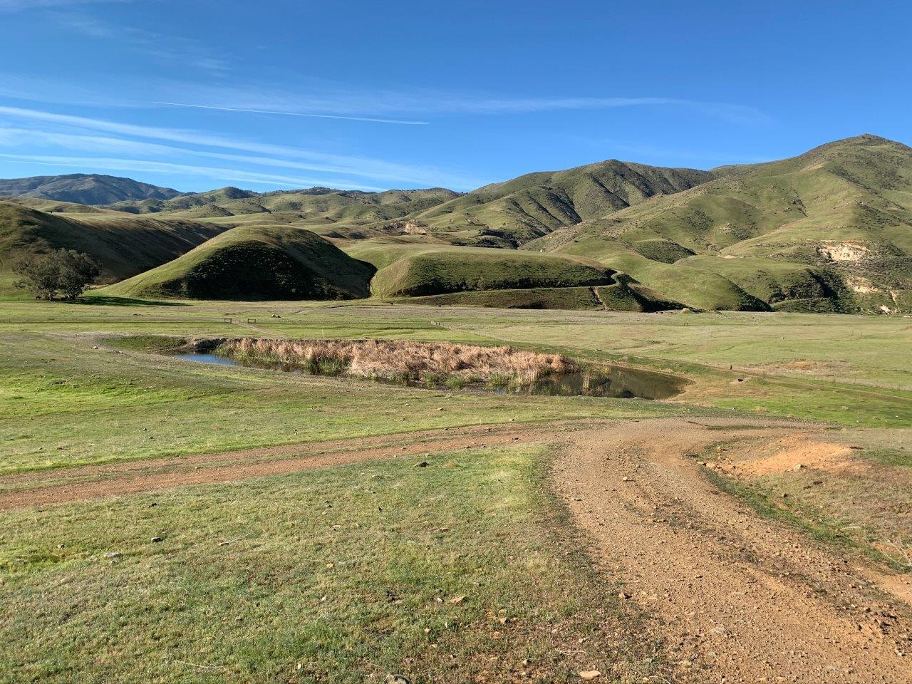 0 Little Panoche Road, LOS BANOS, California 93635, ,Lots And Land,For Sale,Little Panoche Road,40963415