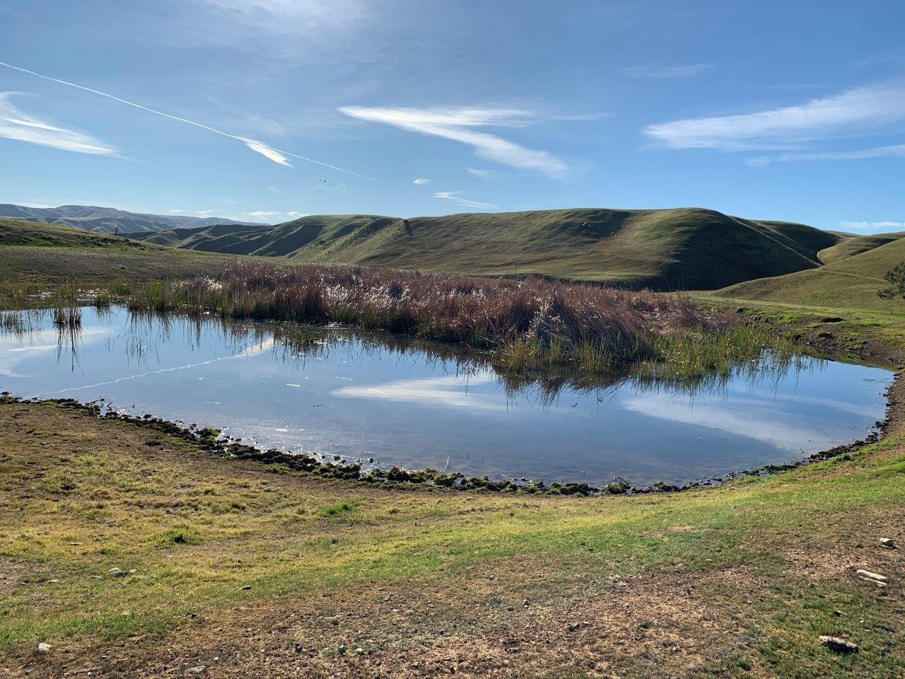 0 Little Panoche Road, LOS BANOS, California 93635, ,Lots And Land,For Sale,Little Panoche Road,40963415