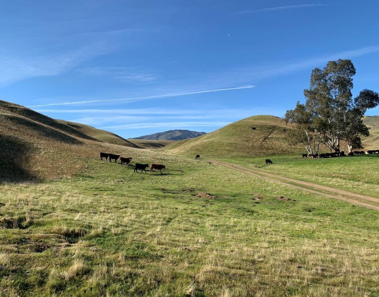 0 Little Panoche Road, LOS BANOS, California 93635, ,Lots And Land,For Sale,Little Panoche Road,40963415